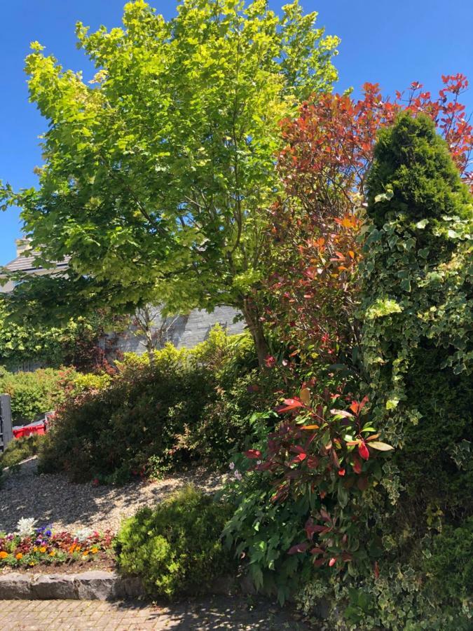 Bed and Breakfast Amber Heights Galway Exterior foto